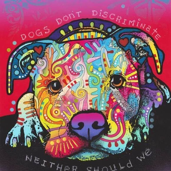 Meet your Posher, Cindy - Picture 1 of 1